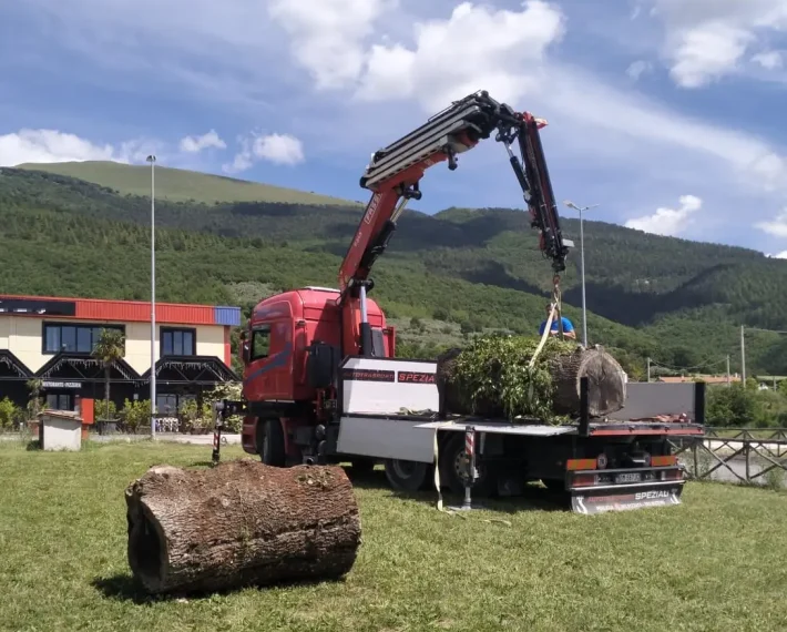 SCANIA R 500 (11)