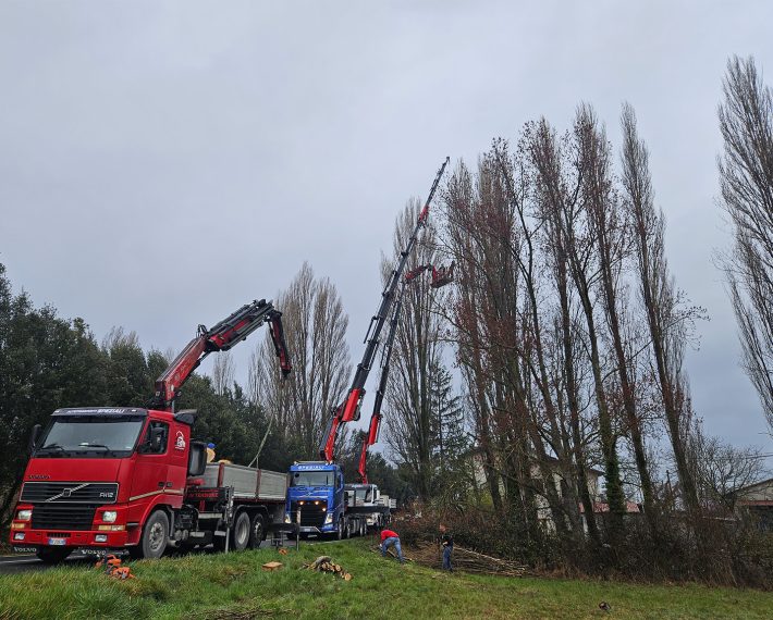 Volvo FH4 500 4 assi con Gru Fassi 990